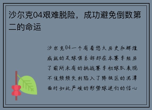 沙尔克04艰难脱险，成功避免倒数第二的命运