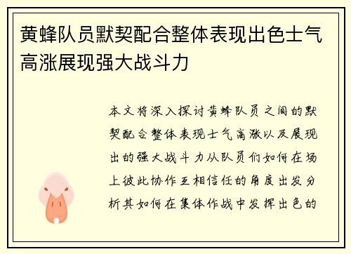 黄蜂队员默契配合整体表现出色士气高涨展现强大战斗力