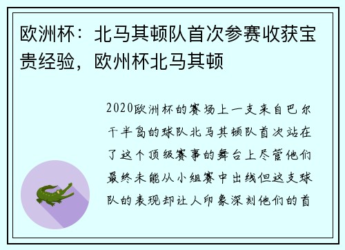 欧洲杯：北马其顿队首次参赛收获宝贵经验，欧州杯北马其顿