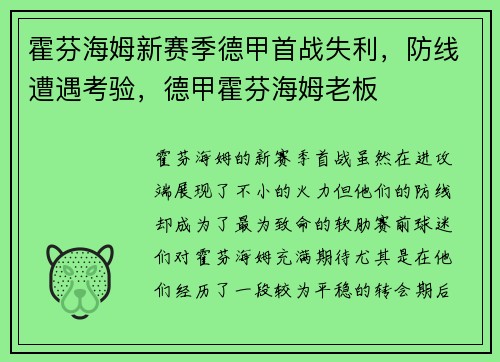 霍芬海姆新赛季德甲首战失利，防线遭遇考验，德甲霍芬海姆老板